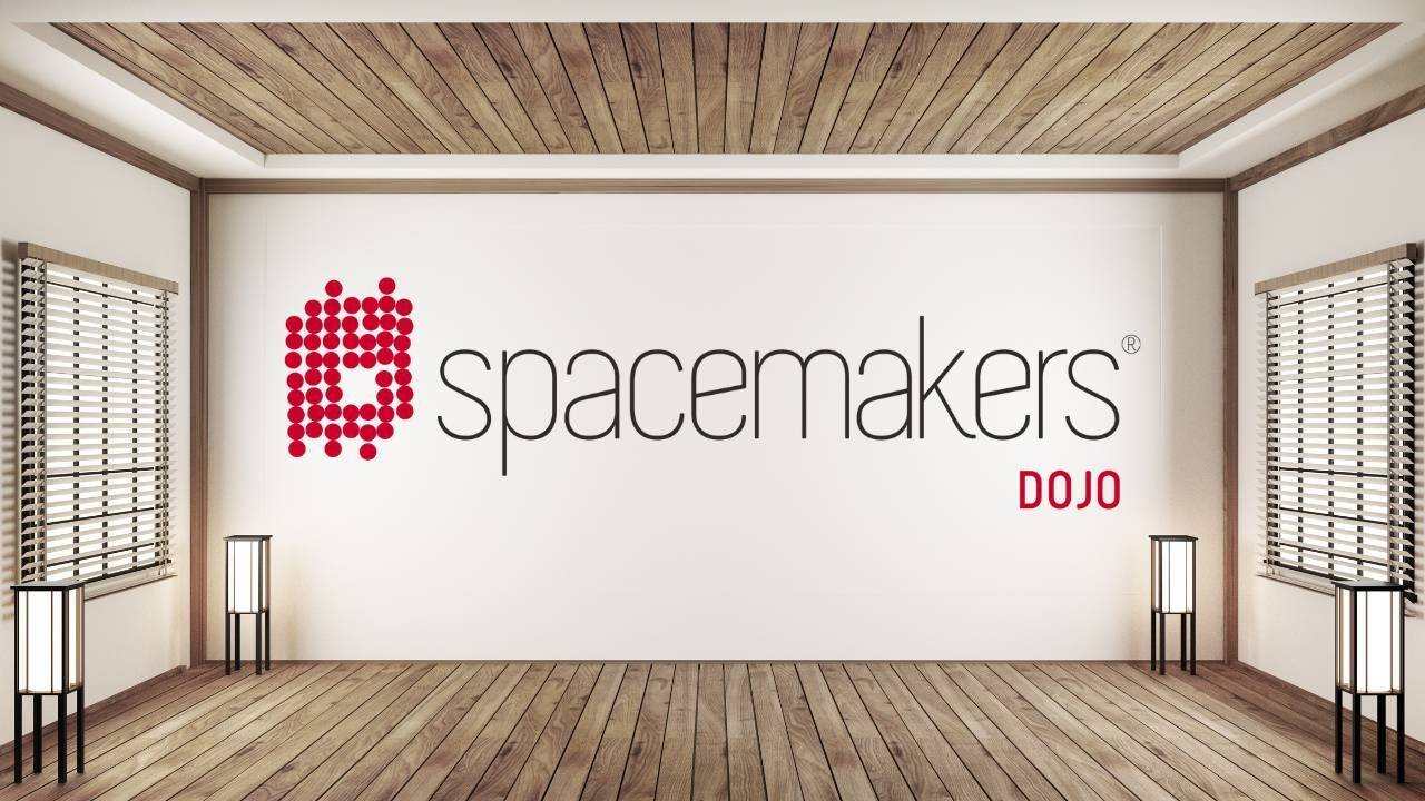 Young woman holding a samurai sword for prioritisation training in Priority Samurai e-learning course